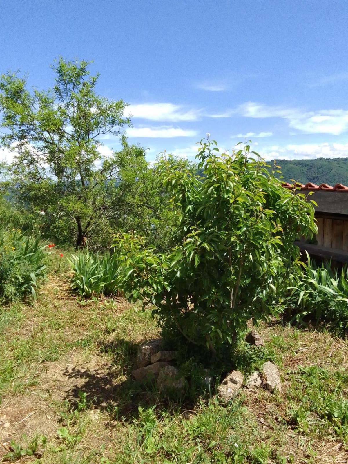 Gites De Revirand Sarras Exterior foto